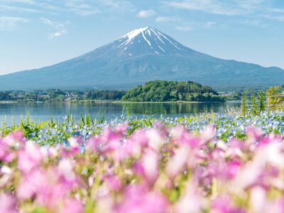 山梨県でキレイライン矯正ができる提携クリニック